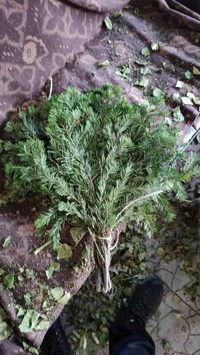 Продам не дорого веники