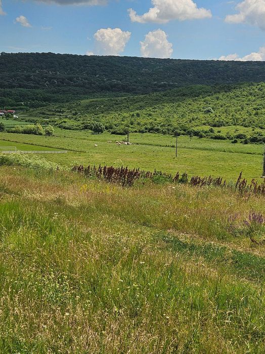Vand Teren - 7200 mp - E581 si Teren - 2000 mp - Cretestii de Sus/Husi,Vaslui