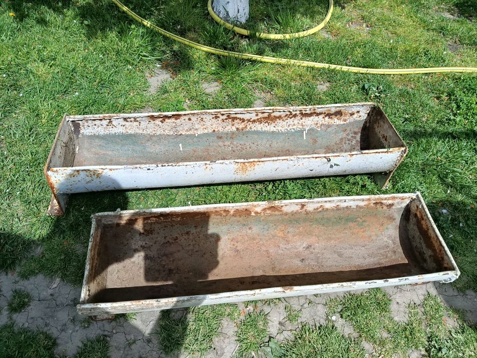 Troacă pentru porci