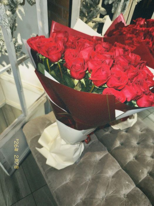 Метр роза 51штук