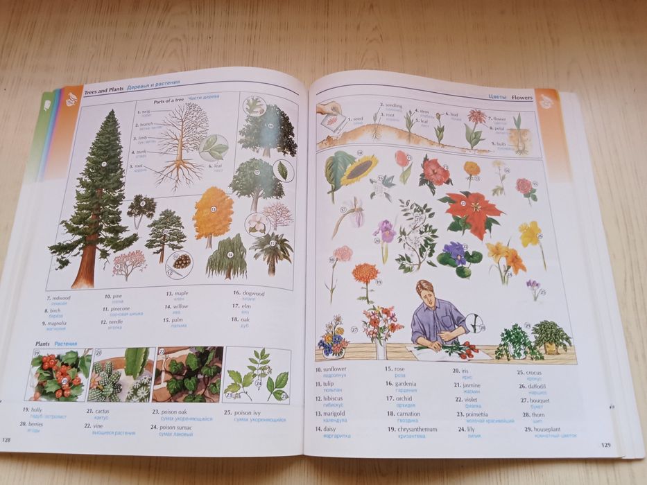 Словарь The Oxford picture dictionary