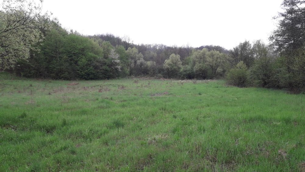 Teren vacanta.Teren la tara.casa vacanta.padure.deal PetrisCorbesti AR