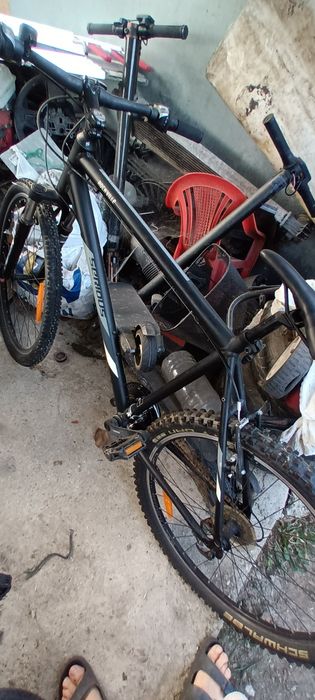 Bulss,Merida, Scott etc