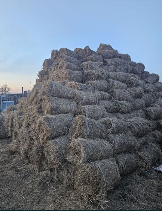 Продам сено в рулонах