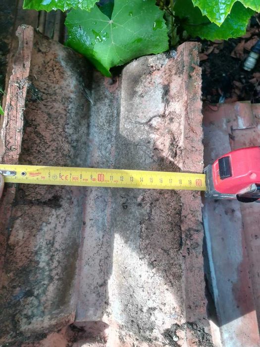 Cupe Ariesul reutilizabile.