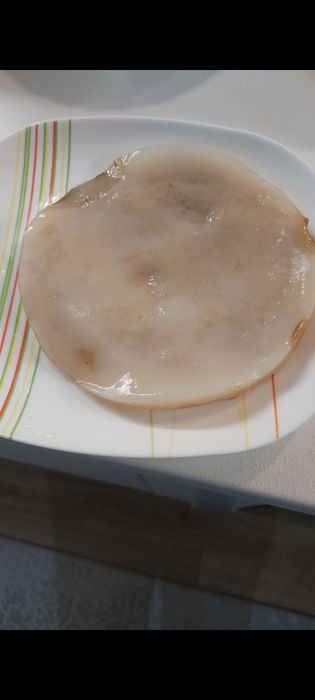 Kombucha de vânzare – SCOBY + starter