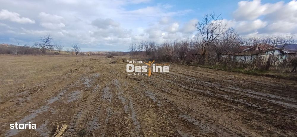 Teren intravilan 1925 mp cu certificat de urbanism si utilitati Mogose