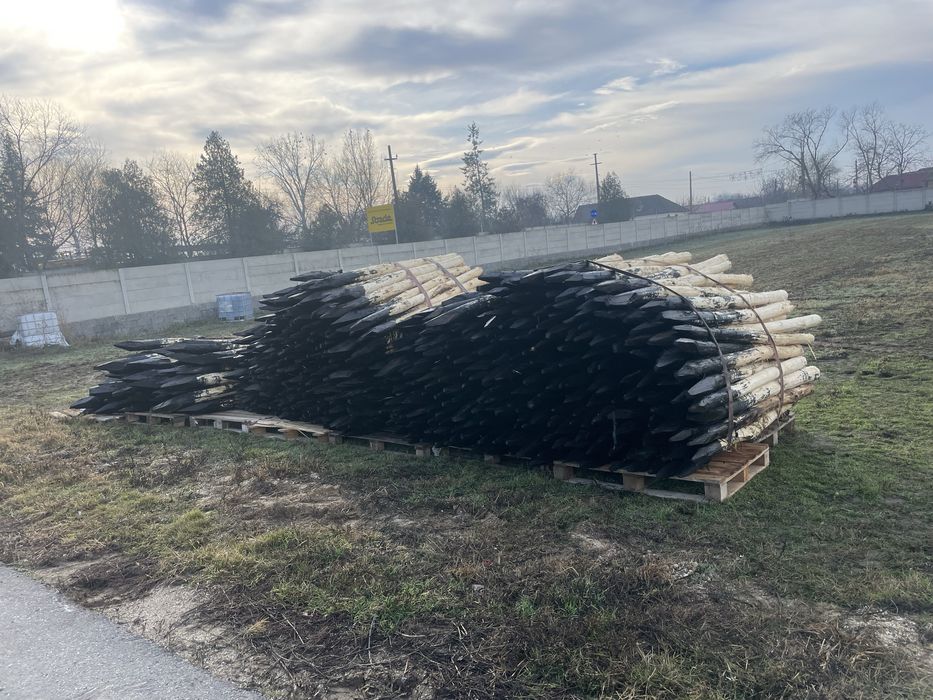 Stalpi/Pari de salcam pentru gard