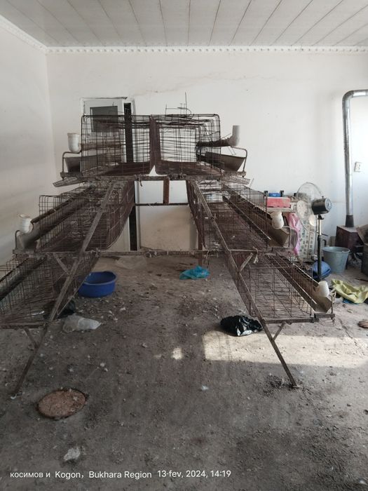 Клетка для курицы