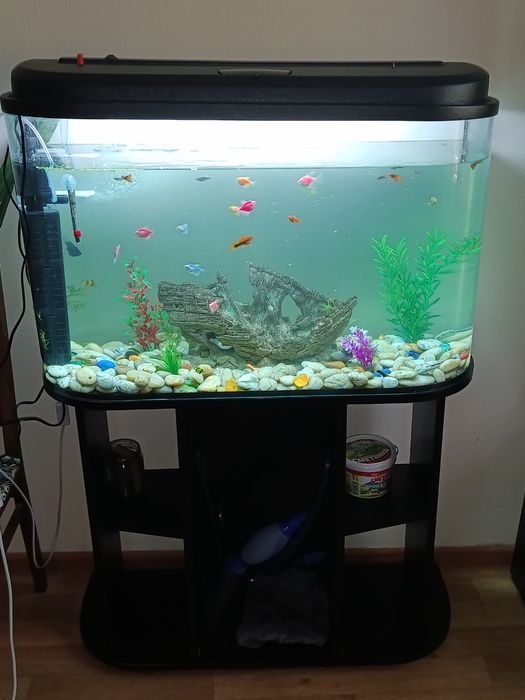 Продам аквариум с рыбками 120л.