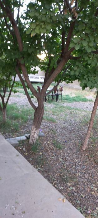 Фойдаланиб келаетган сталавой сотилади