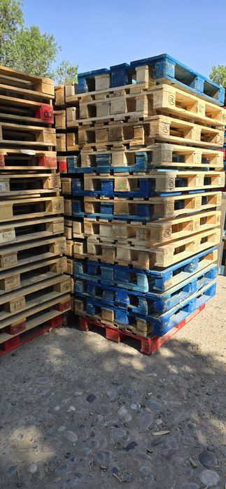 Paddon Lyoboy Razmer Bor