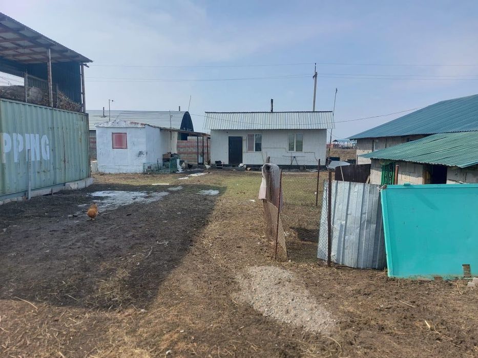 Фазенда кх хозяйство, площадь 2 гек