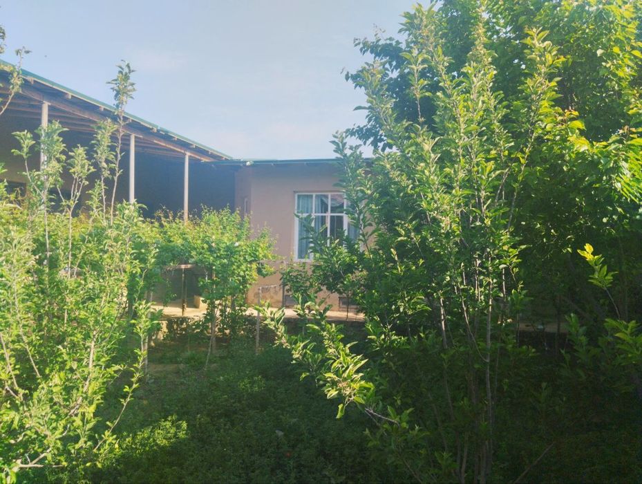 Кармана туманки Янги Хаёот МФЙ да Ховли сотилади.