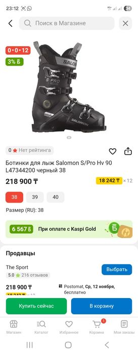 Горнолыжные ботинки