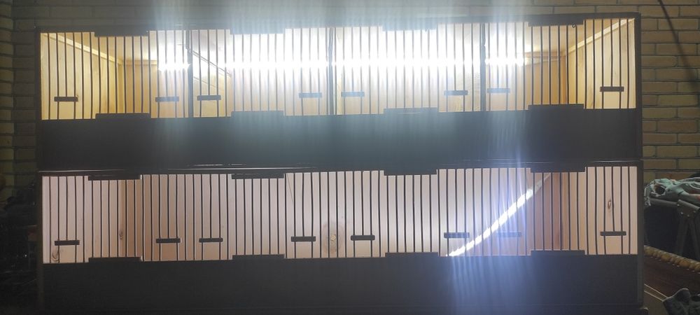 Italiya bedana makiyonlari uchun qafaslar