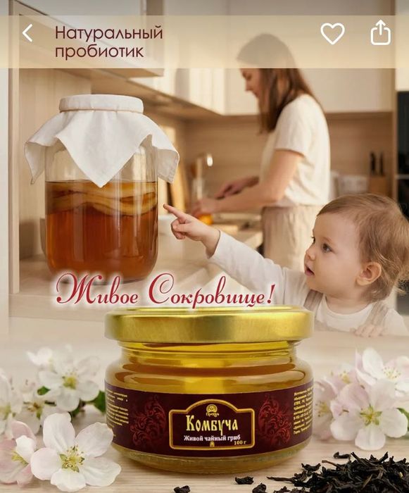 Комбуча (чайный гриб)