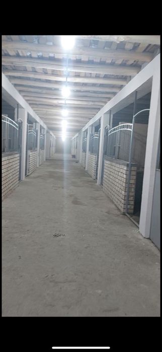 Rancho sotiladi maydoni 50 sotix manej kotaligi 45x45 metr