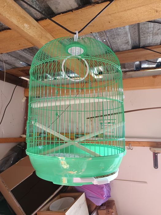 Disponibil colivie aproape noua preț 100 lei