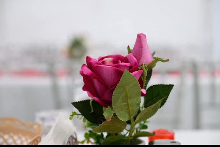 Închiriez cort evenimente