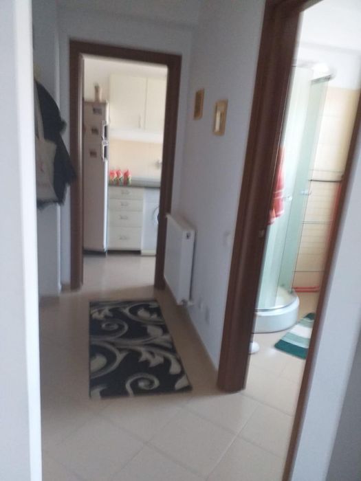 Garsoniera Damaroaia cu Jiului