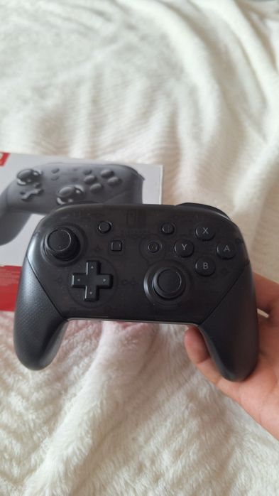 Nintendo  swich.
