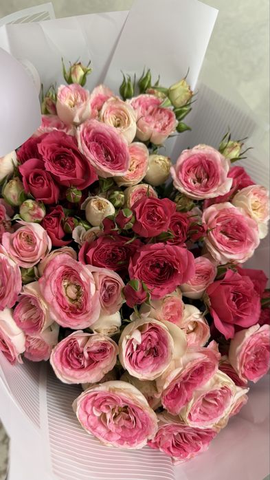 Продам срочно свежие цветы