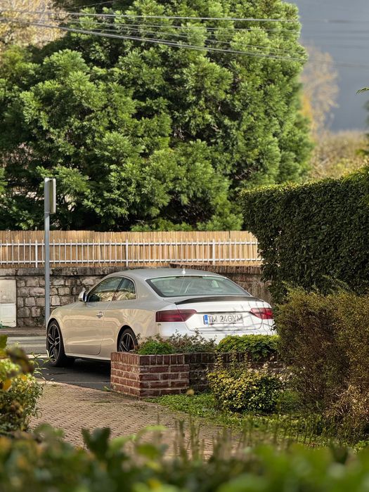 Audi  a5  coupe