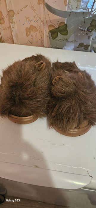 Пантофи Капибара.