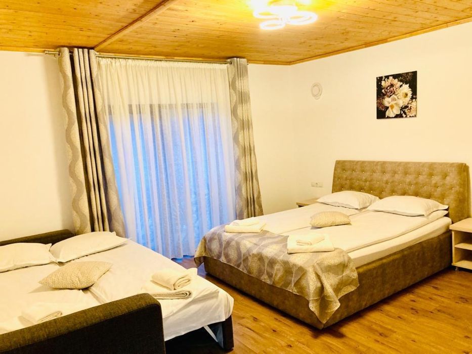 Cabana Mircea cu piscina incalzita si ciubar -Baisoara