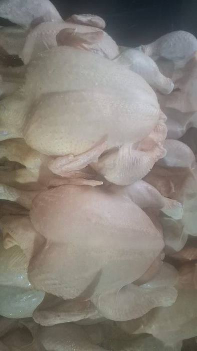 Продам мясо бройлера.