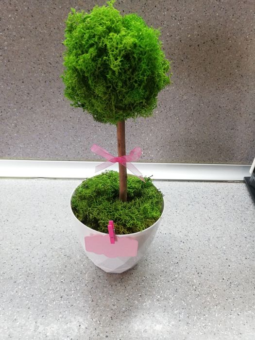 Дръвче със Скандинавски мъх