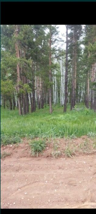 Срочно продаю Дача Щучинск рядом лес