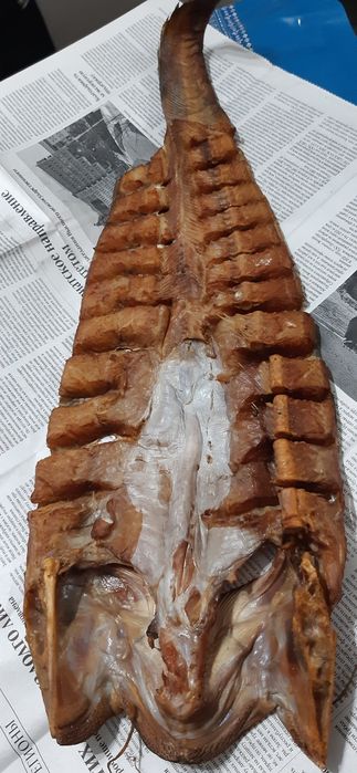 Капченный балыктар