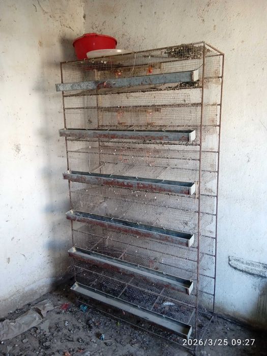 Бедана кафас сотилади