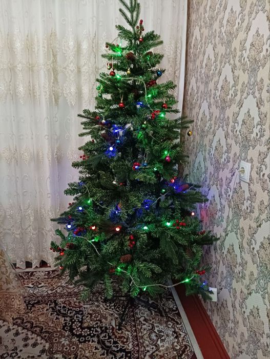 Новогодние ёлочки !