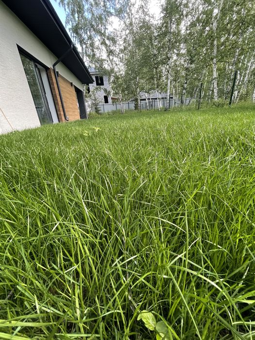 Посев газона под ключ