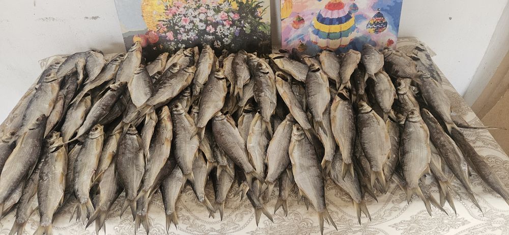 Рыба этого сезона