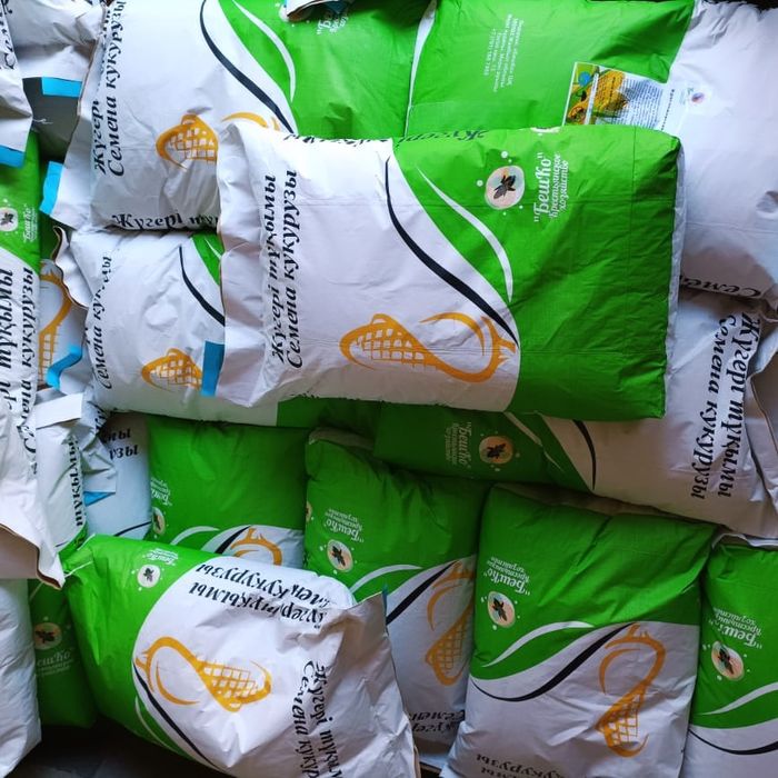 Семена кукурузы, жүгері ұрық