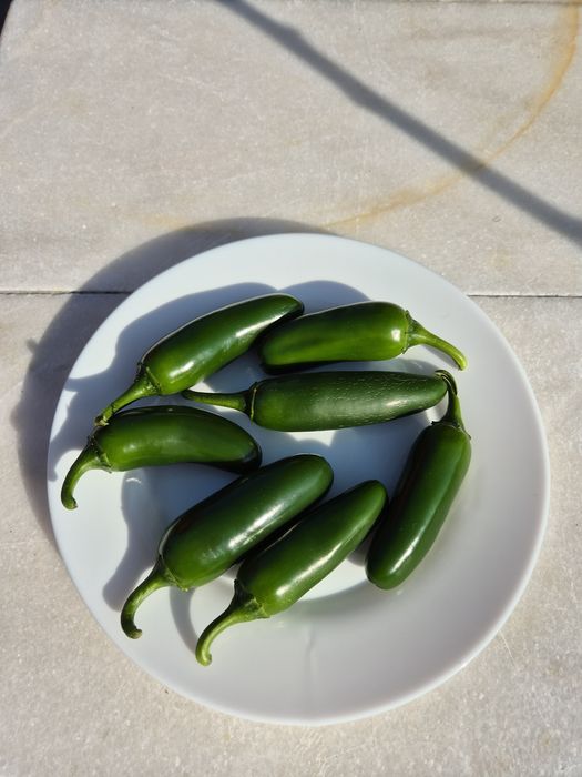 Ardei iute JALAPEGN̈O, Proaspăt, preț avantajos