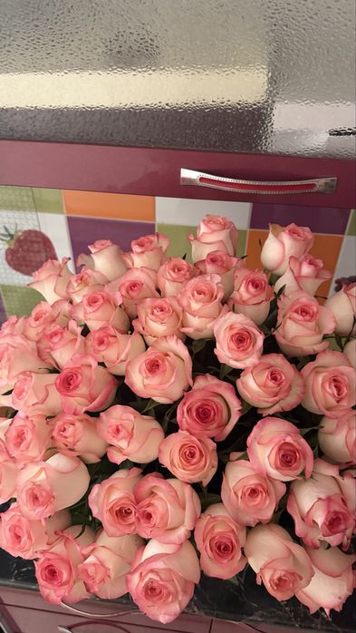 Голландский роза 51 штук