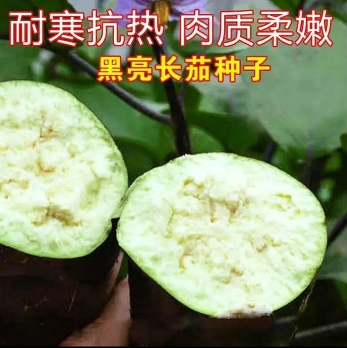 Baqlajon urugi pochkali