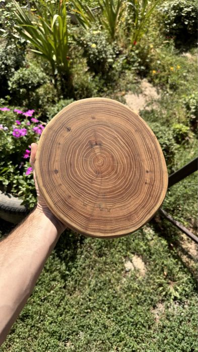 Доска для разделки из дерева (спил)