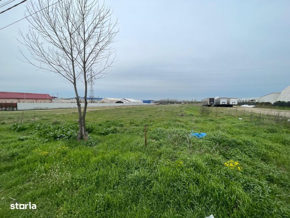 Teren intravilan 1454mp situat in Albesti, in proximitatea centurii de