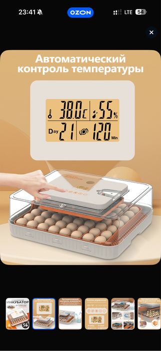Инкубатор полный автомат 56 талик