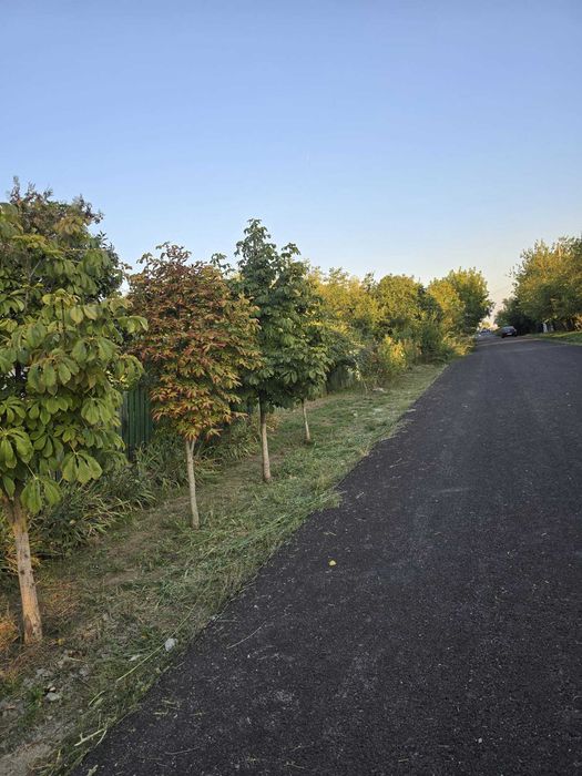 Casă la țară cu livadă pe teren de 2.000 m² – Zimbru, Călărași – Panouri fotovoltaice cu baterie