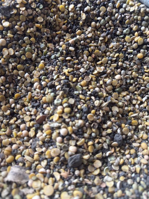 Горох отход в мешках