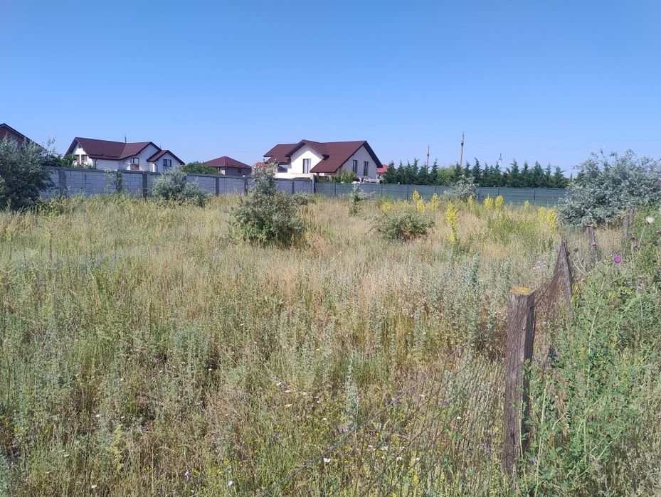 Vand lot de casa de 500 m2 satu costi in spate folicultura