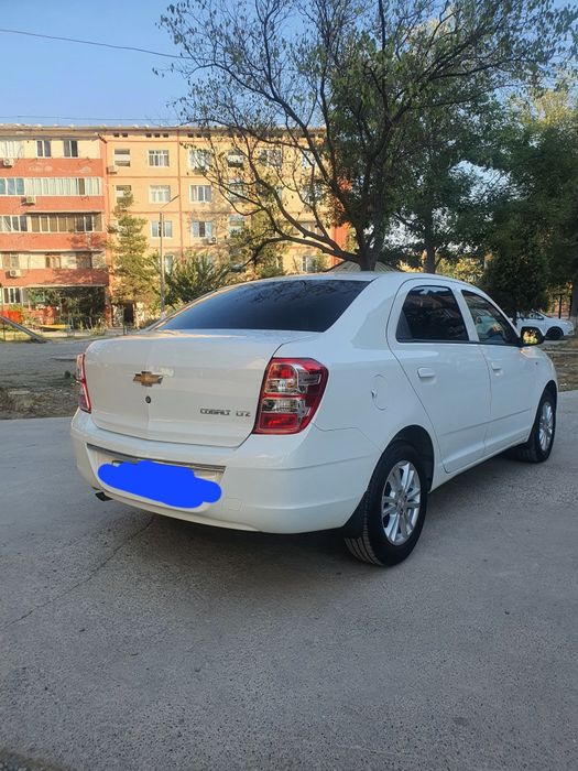 KOBALT MSM 2025 GA 2026 YILI gazi prapan tabletka 12 ming yurgan