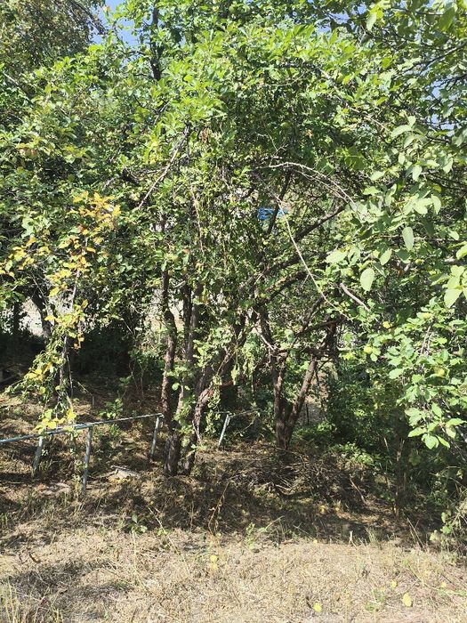 Продам дачу 7 соток
